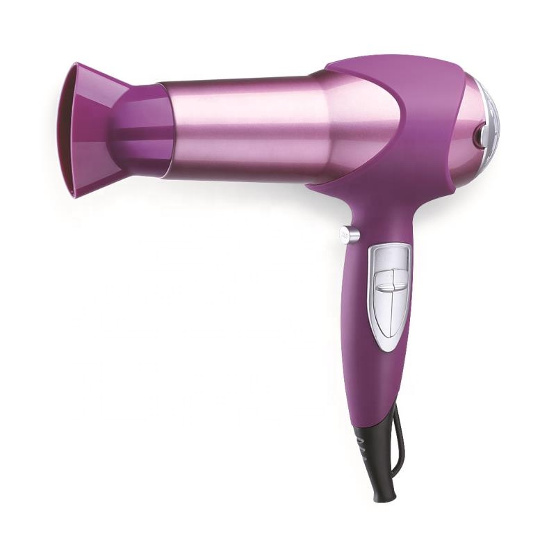 Hair Dryer DC Motor