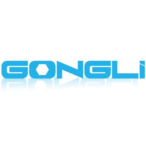 Zhejiang Wuyi Gongli Electric Co., Ltd.