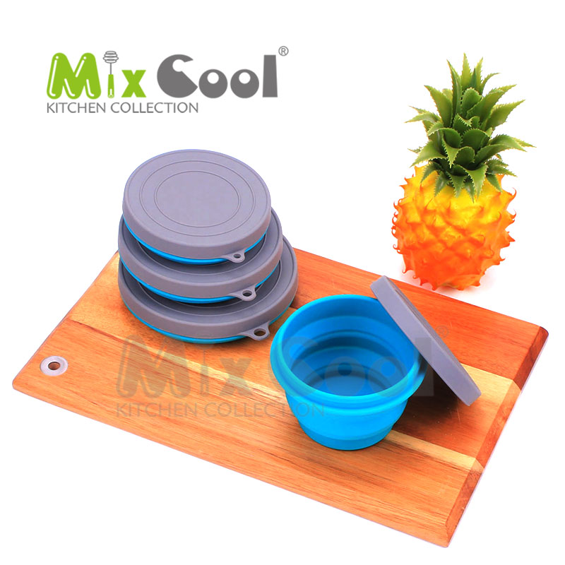 Silicone fold bowls