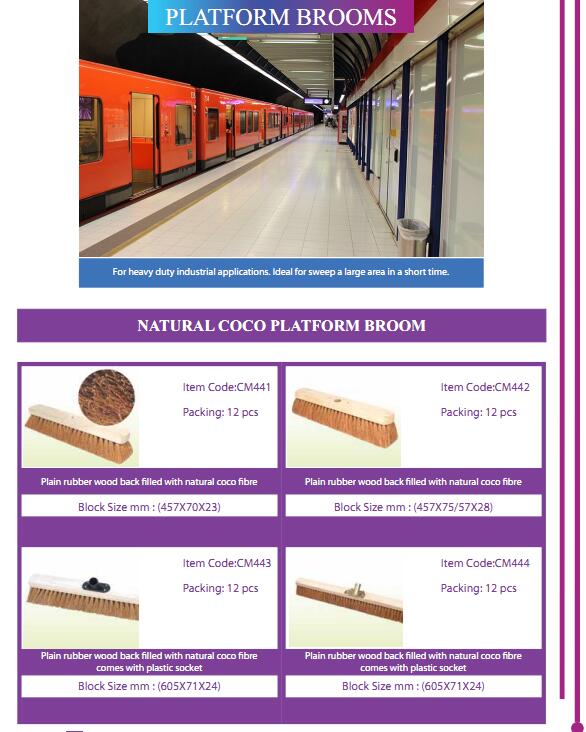 Platform Broom