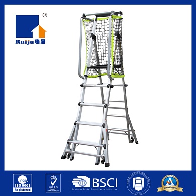 Adjustable platform ladder with handrails