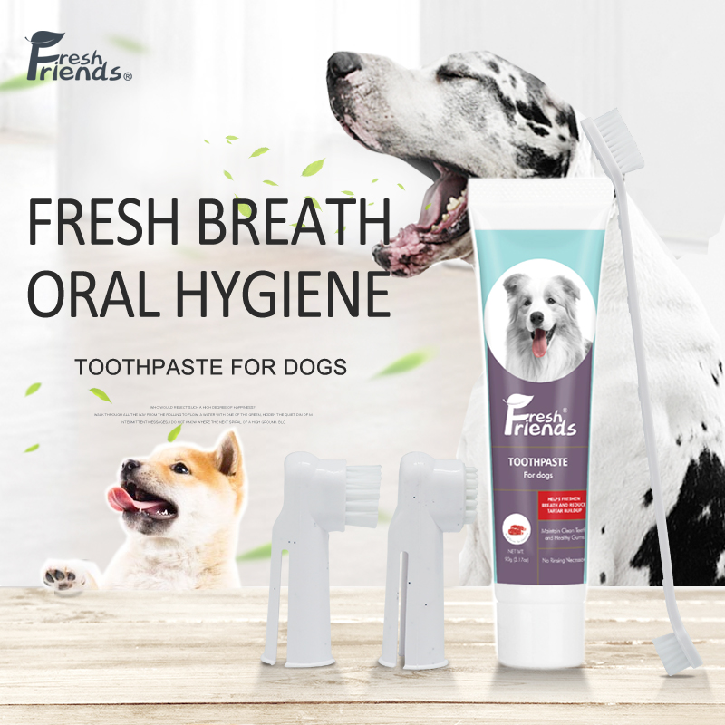 Pet Toothpaste set with Brushes with Beef Flavour
