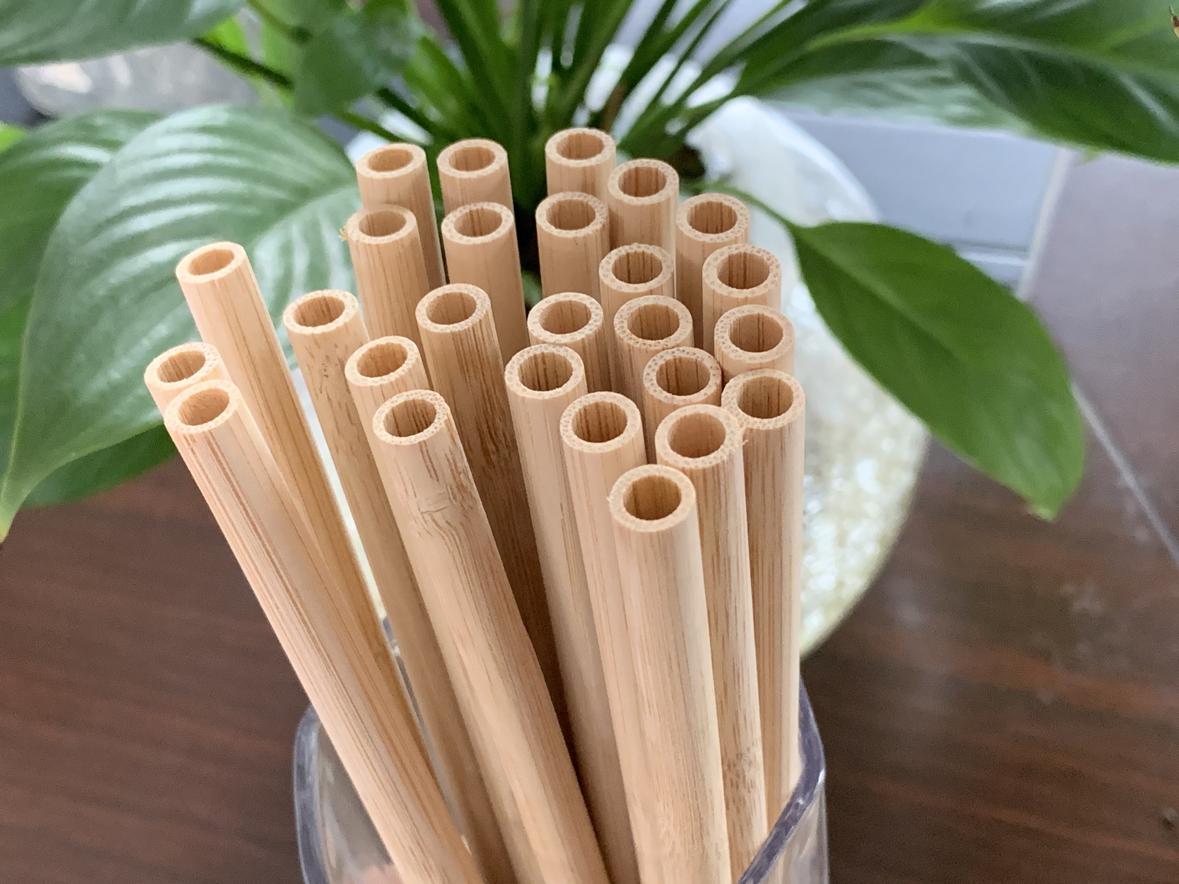 Natural Bamboo Straws