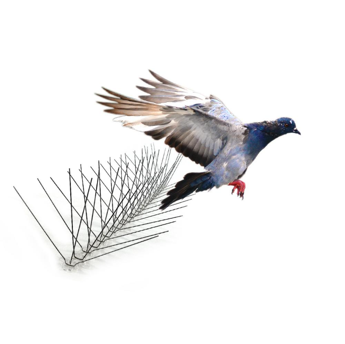 Bird Spikes