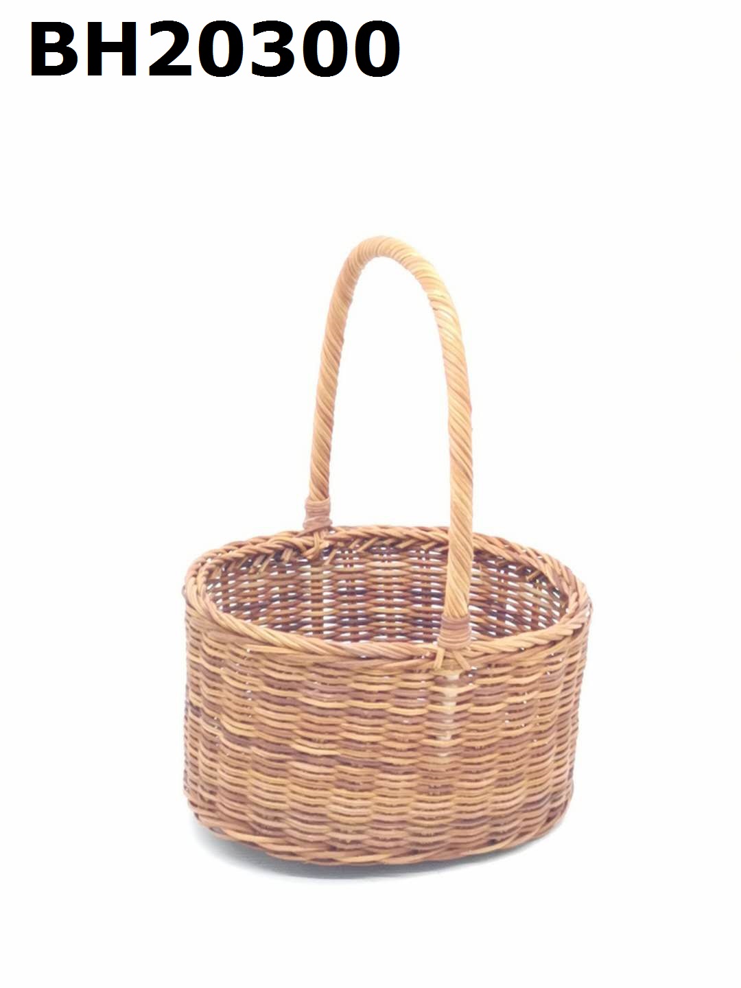 Fern Basket