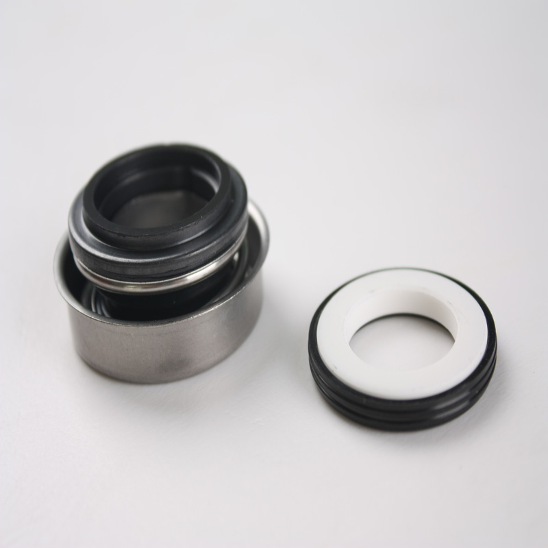 Mechanical Seal