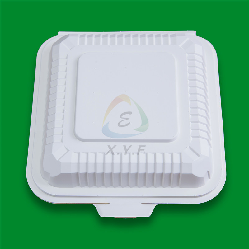 8inch lunchbox-3D