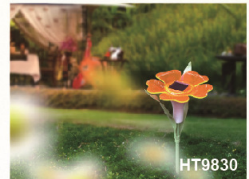 Solar Light