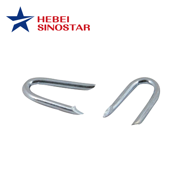 Iron U Shape Nails (Clavo)