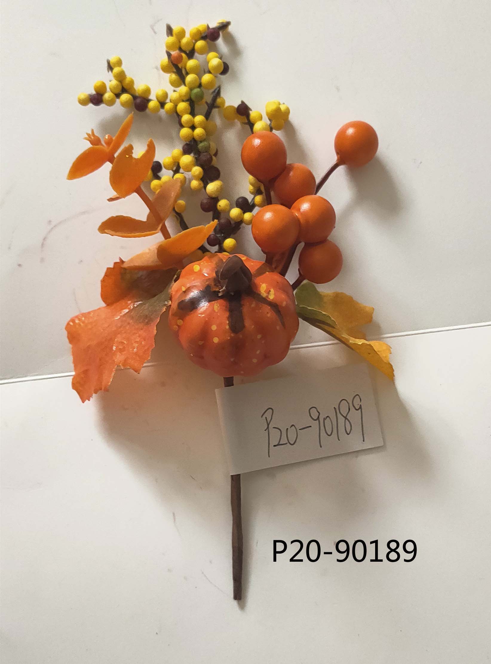 P20-47