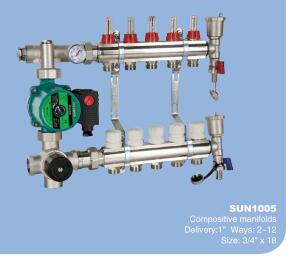 Manifolds (Brass & S.s)