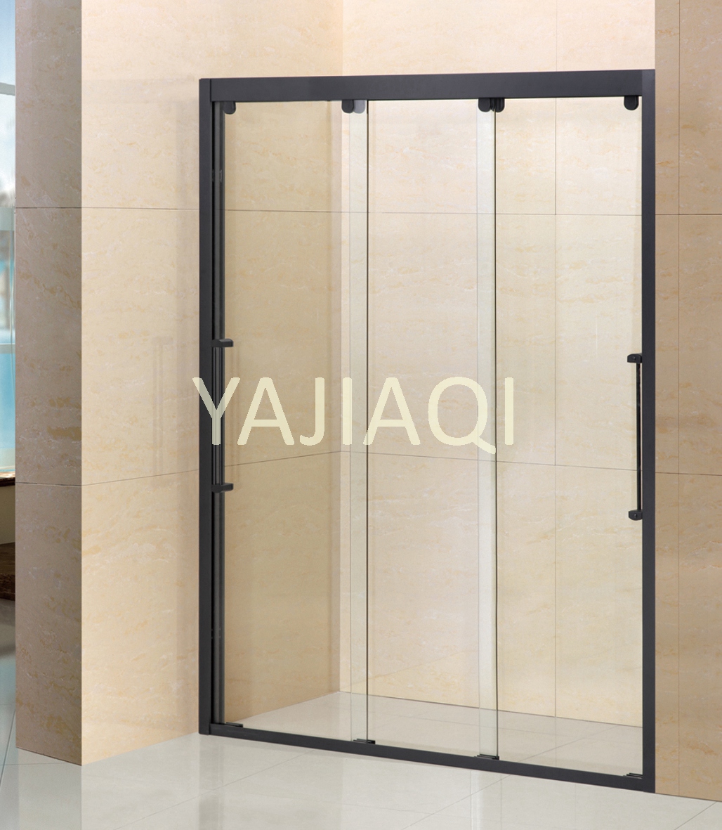 shower door with black 304SS