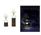 Solar Garden Light