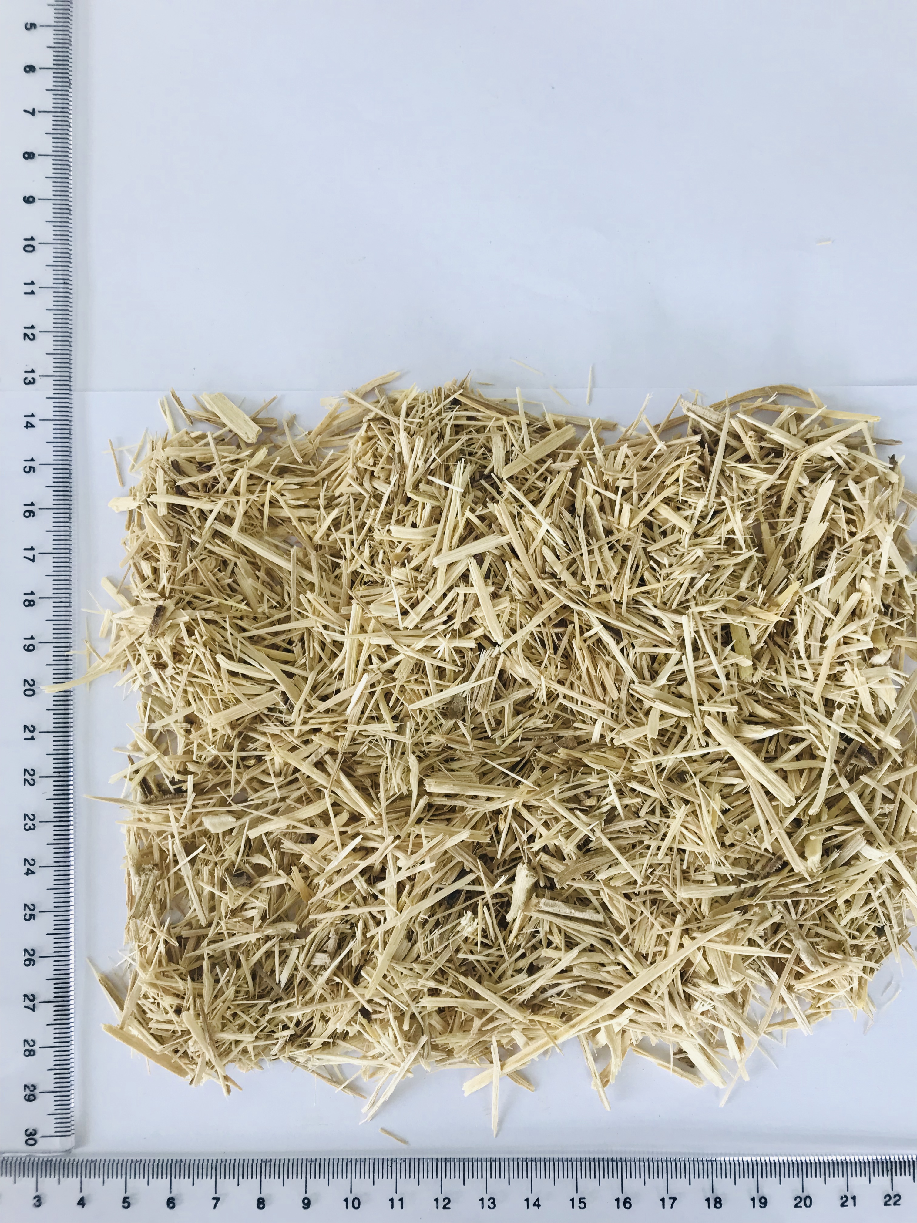 Manyprickle Acanthopanax Root