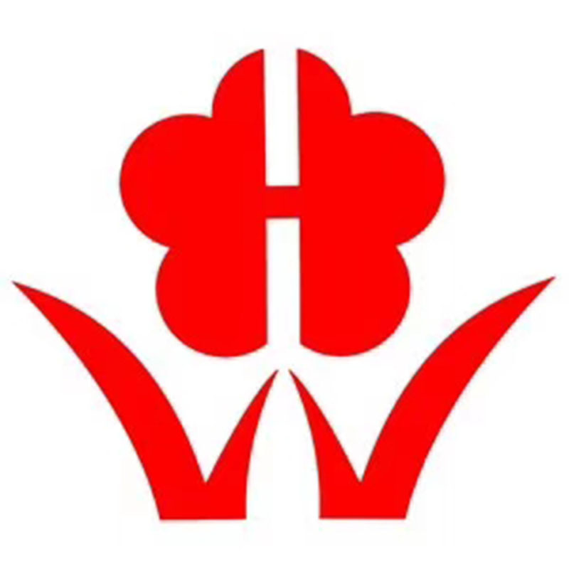 SHANTOU XINLONGXIANG CO LTD