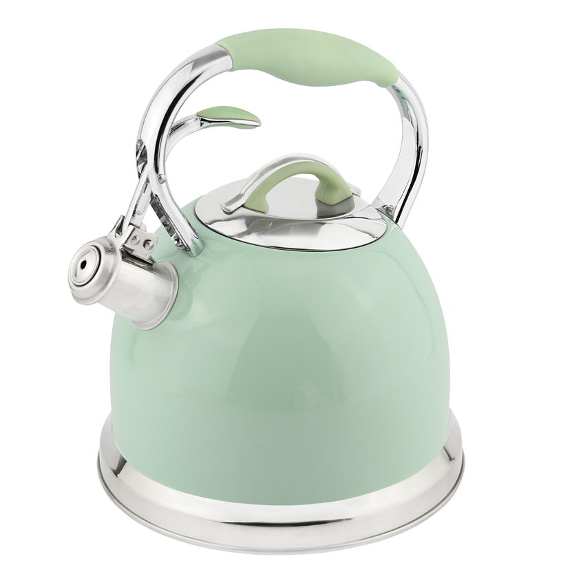 Stainless Steel Whistling Kettle
