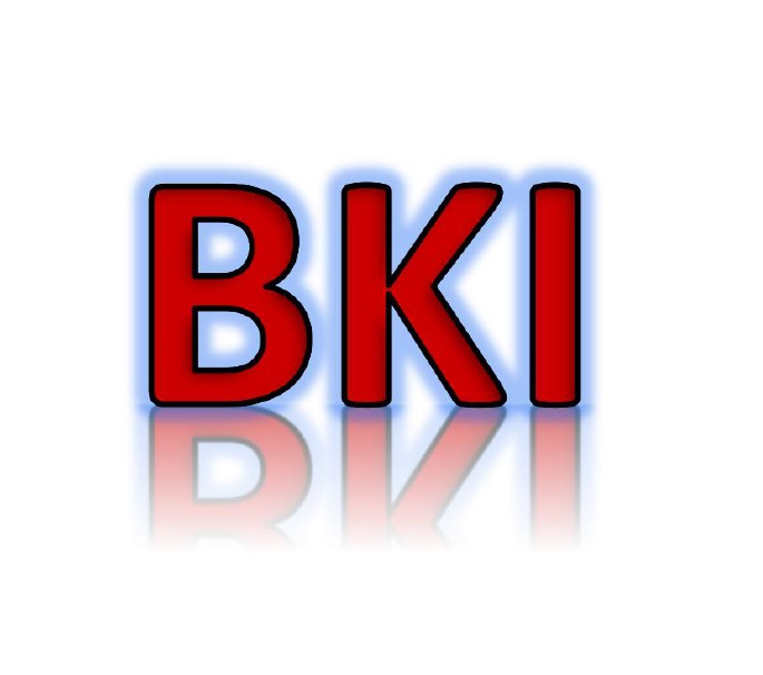 SHENYANG BEST KING CO., LTD