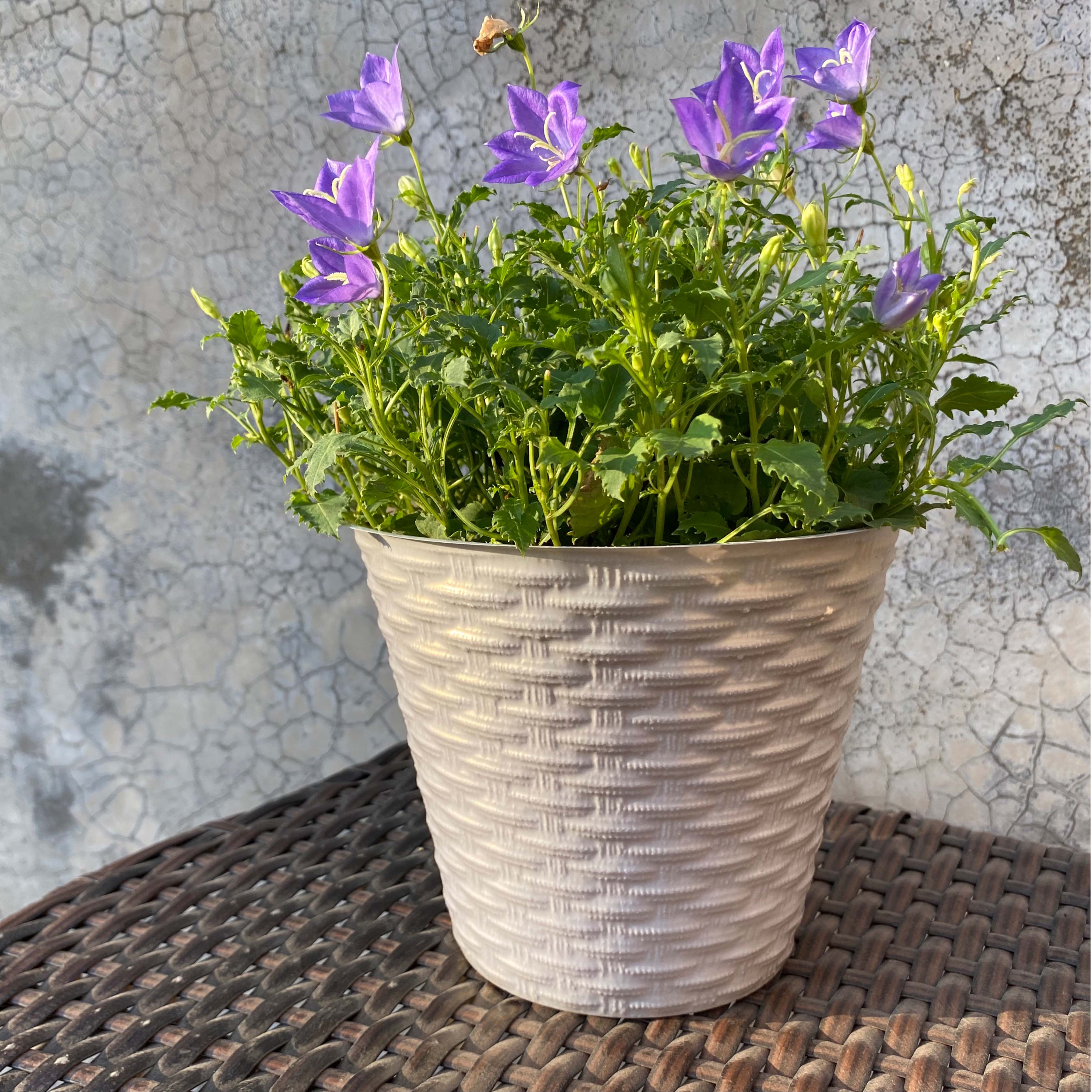 Basket proof plastic cover pot