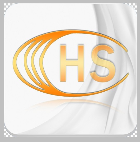 Hunan Silk Group Co., Ltd.