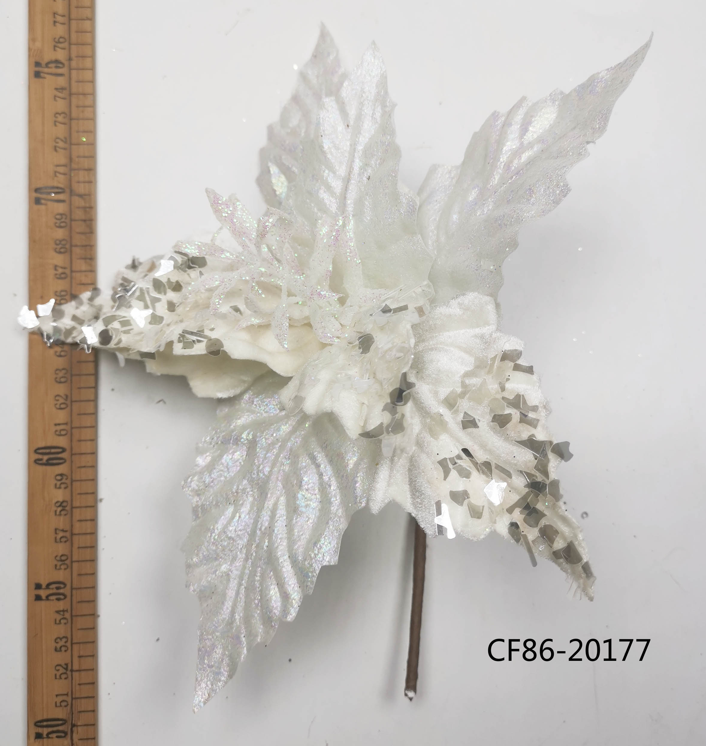 CF86-13