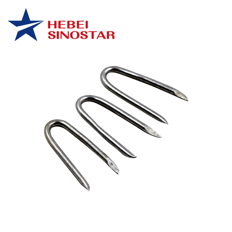 U Type Staple Iron Nail