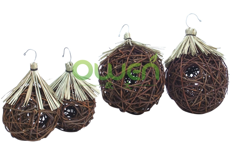 Willow Bird Nest