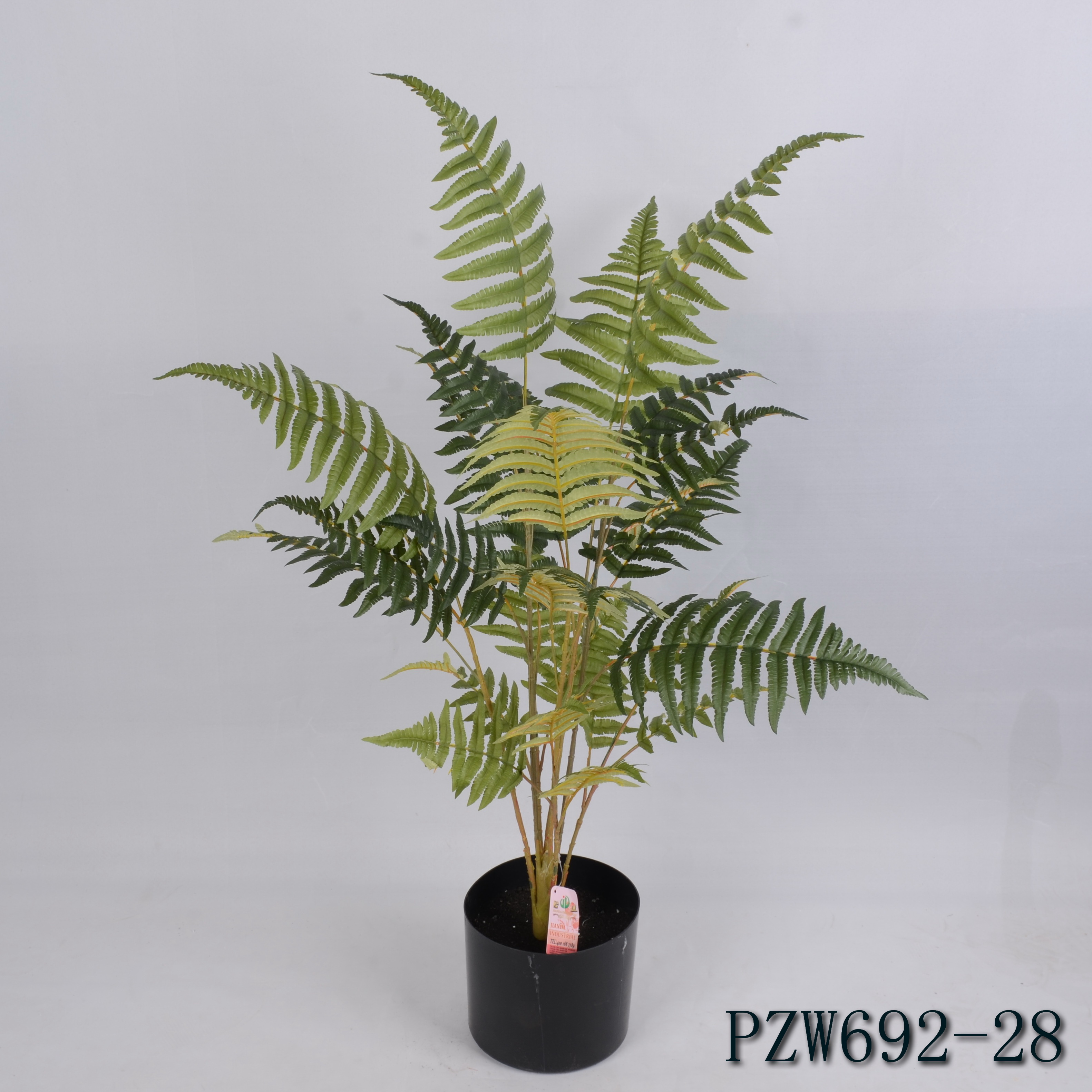 PZW692-28 emulational tree fern tree X 28