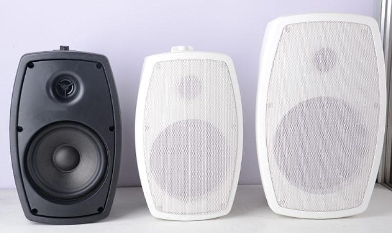 wall speaker