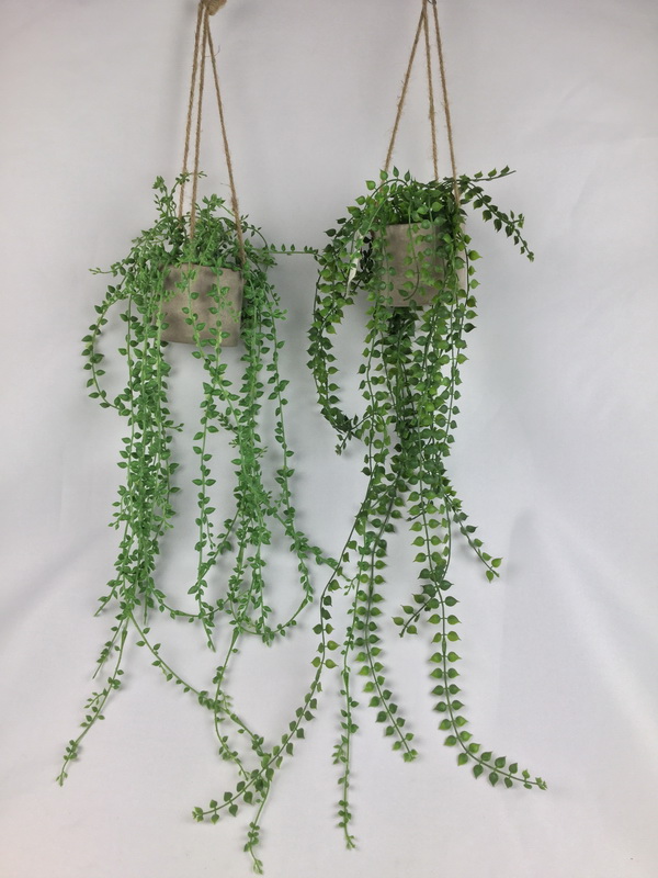 hanging plant in cement pot item