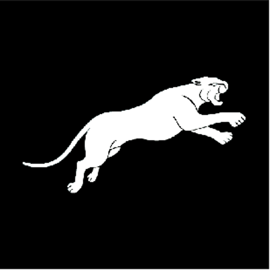 Shishi Flandi Trading Co., Ltd.