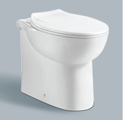 Ceramic floor mounted toilet