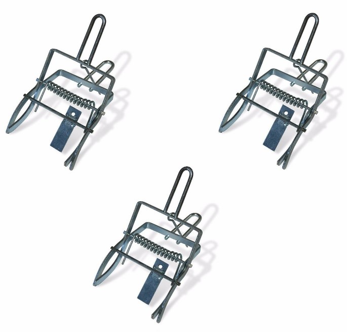 Scissors Mole Trap