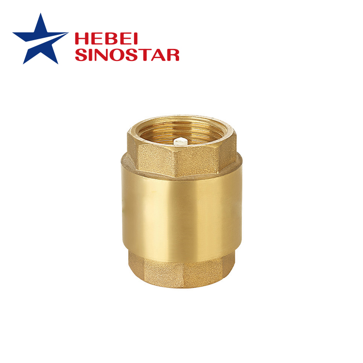 Vertical Check Valve(VÁLVULAS RETENCIÓN)