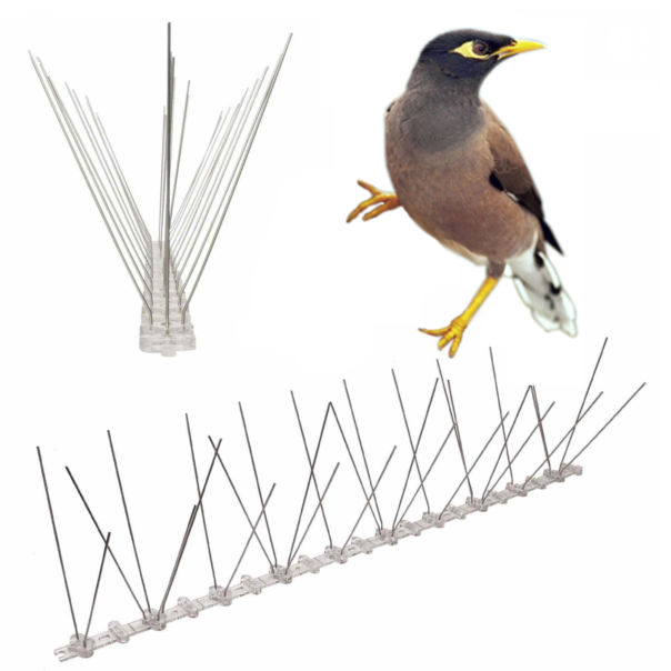 Bird Spikes