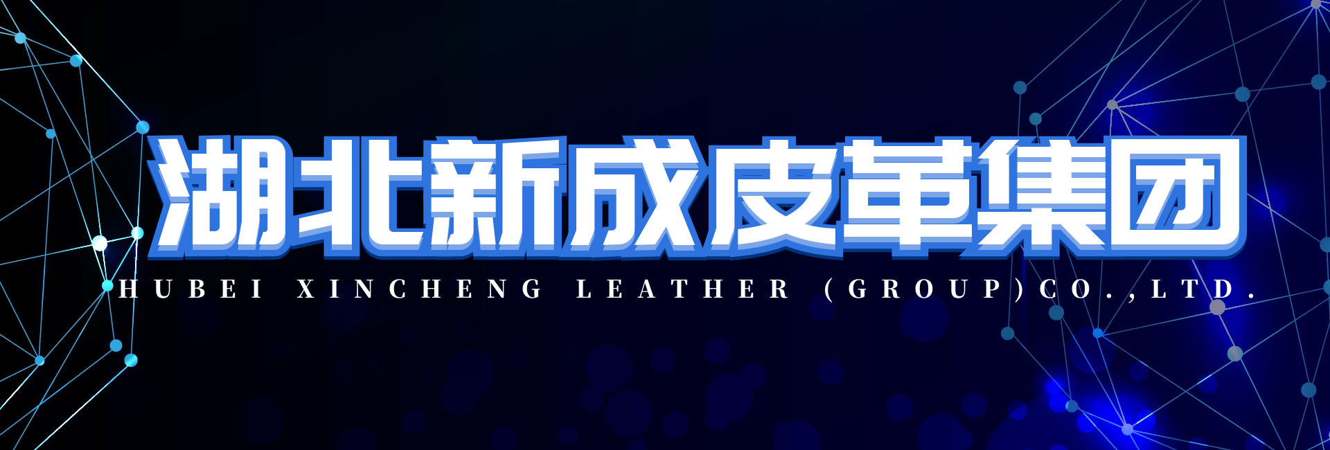 HUBEI XINCHENG LEATHER (GROUP) CO., LTD.