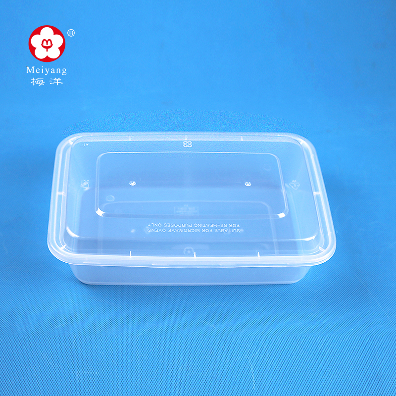 Small rectangular plastic PP lunch box