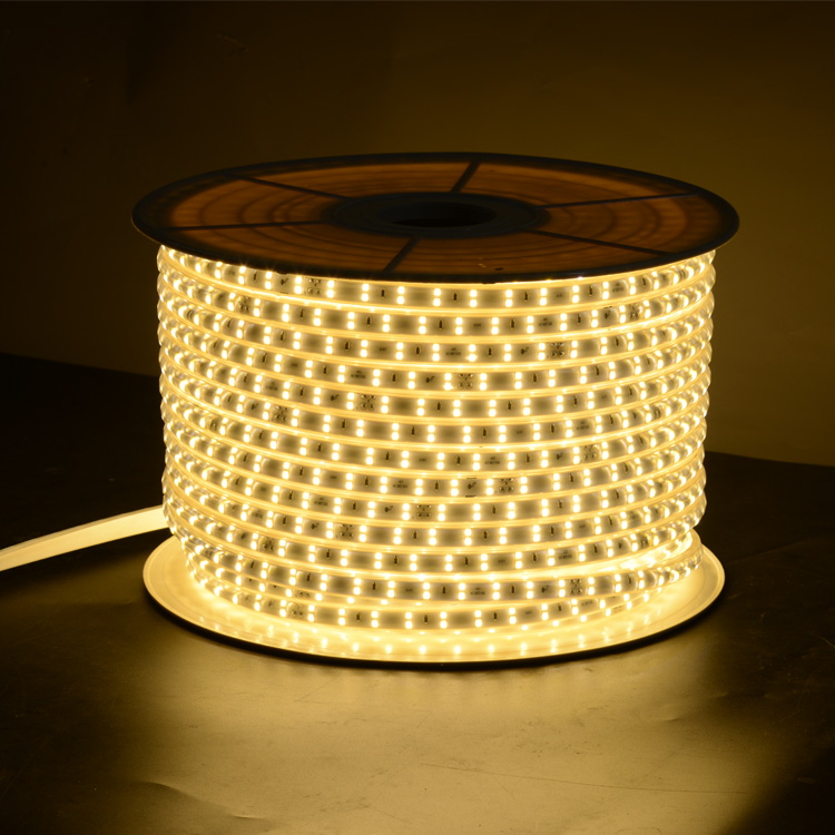AC220V LED Color RGB Led Strip Light 6.5w/m 8w/m 10w/m