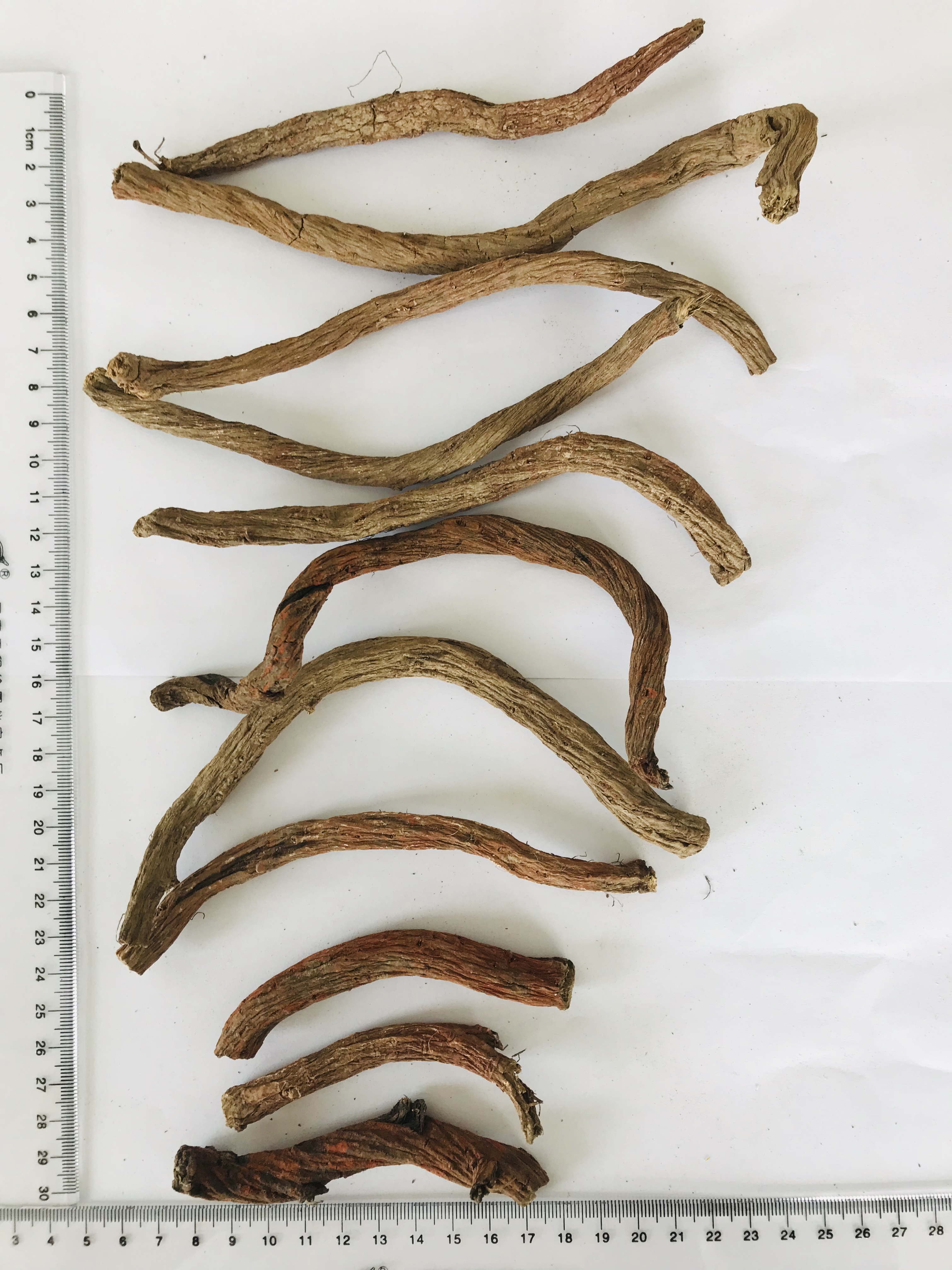 Danshen Root