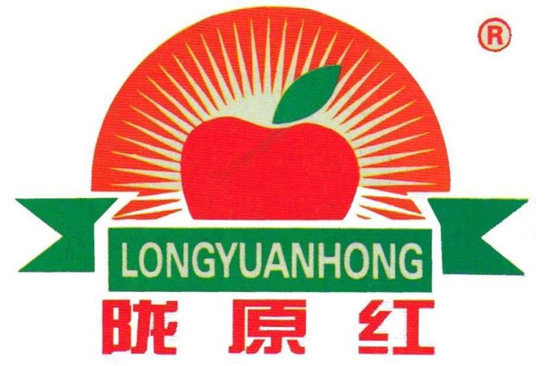 Jingning Longyuan Red Fruit Trading Co., Ltd.