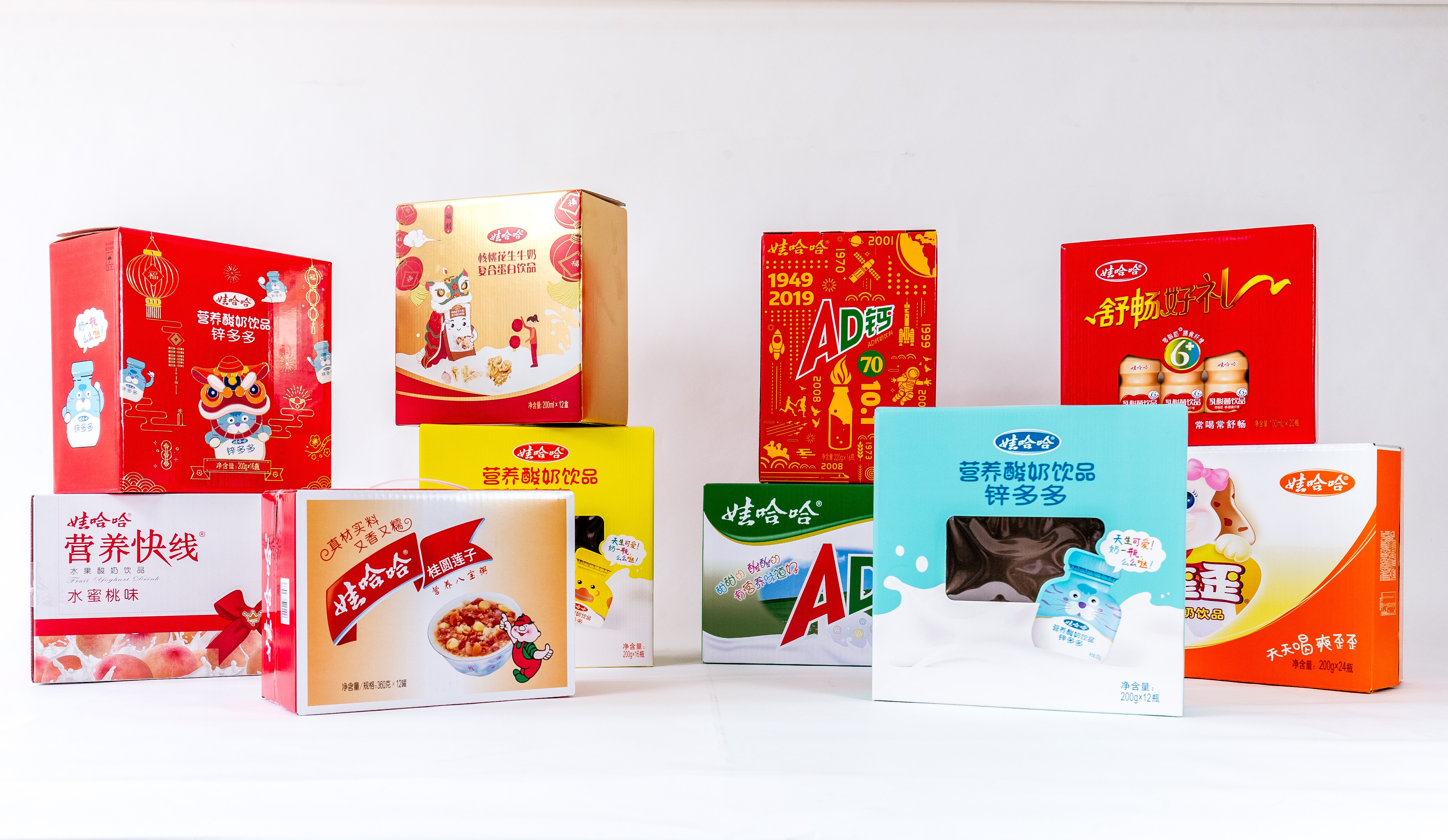 Tianjin Haishun Printing and Packing Co., Ltd – portarretrato 3