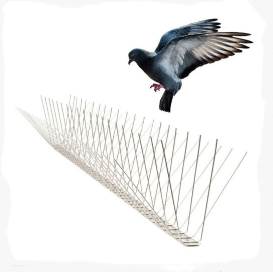 Bird Spikes