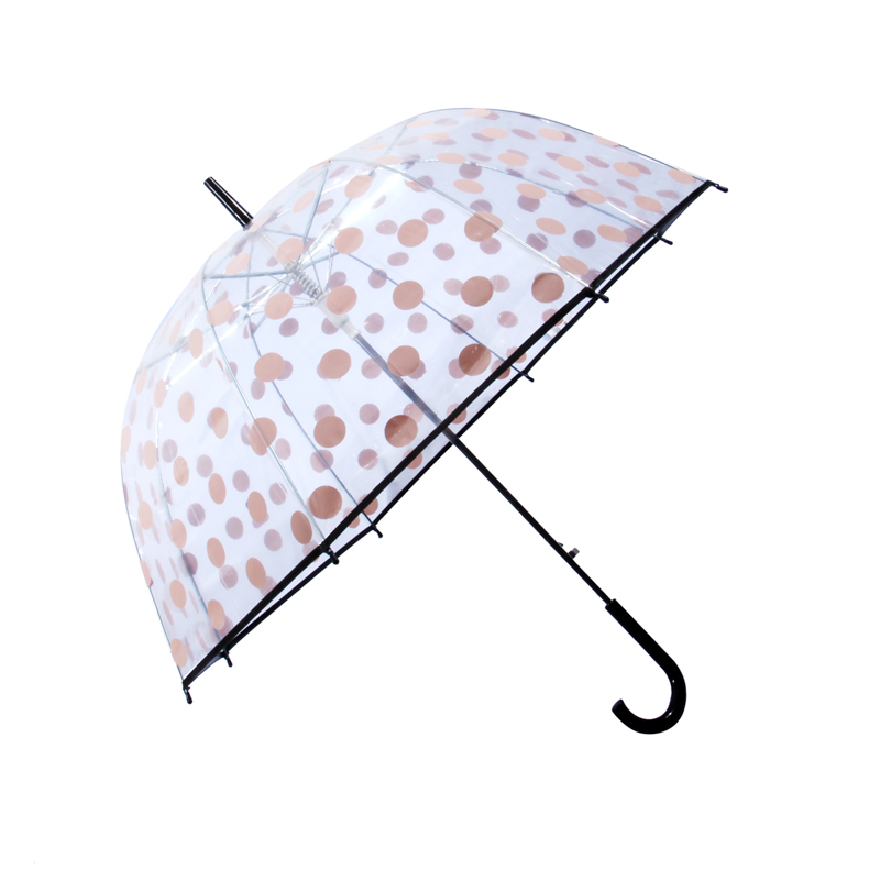 Umbrella