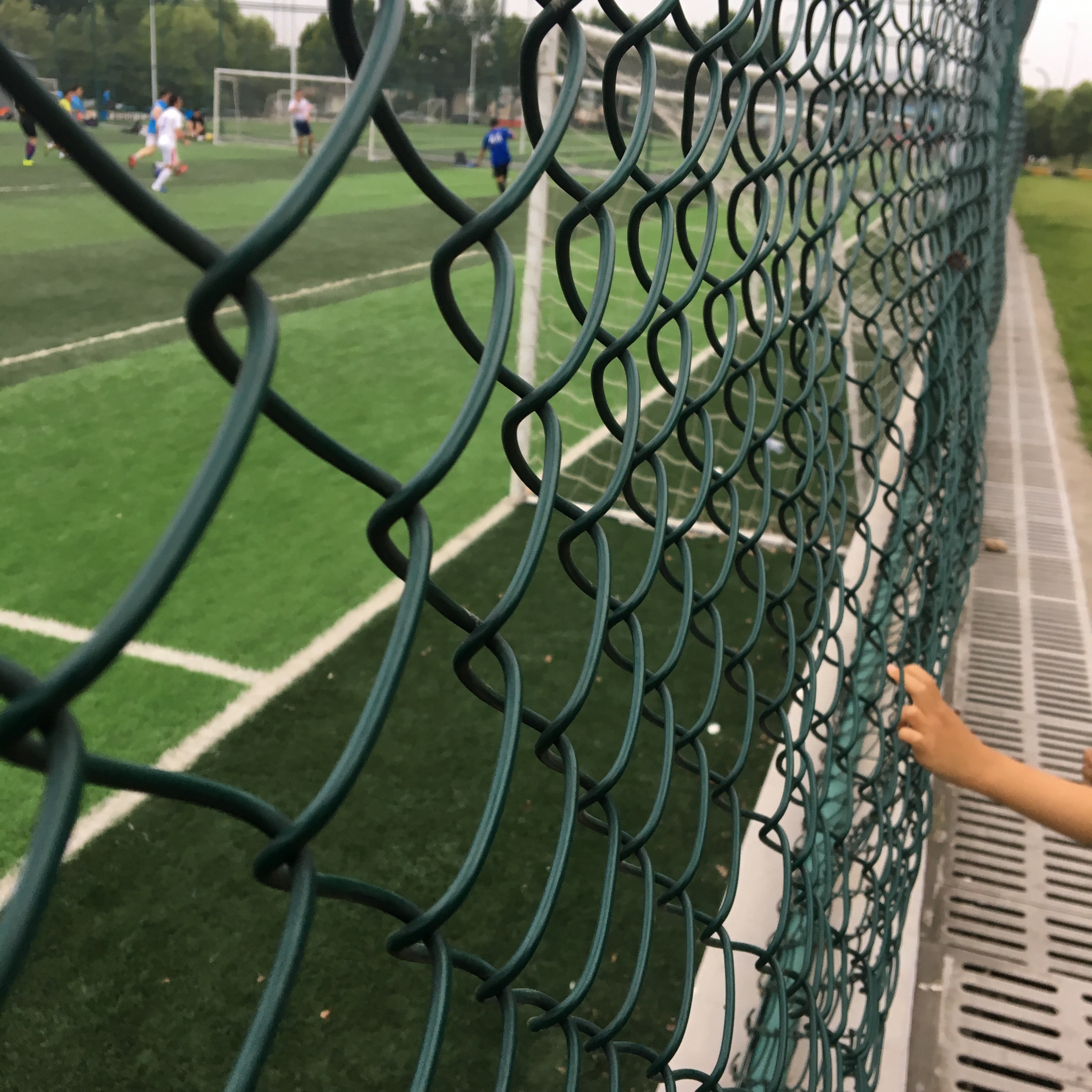 Galvanized Chain Link Fence