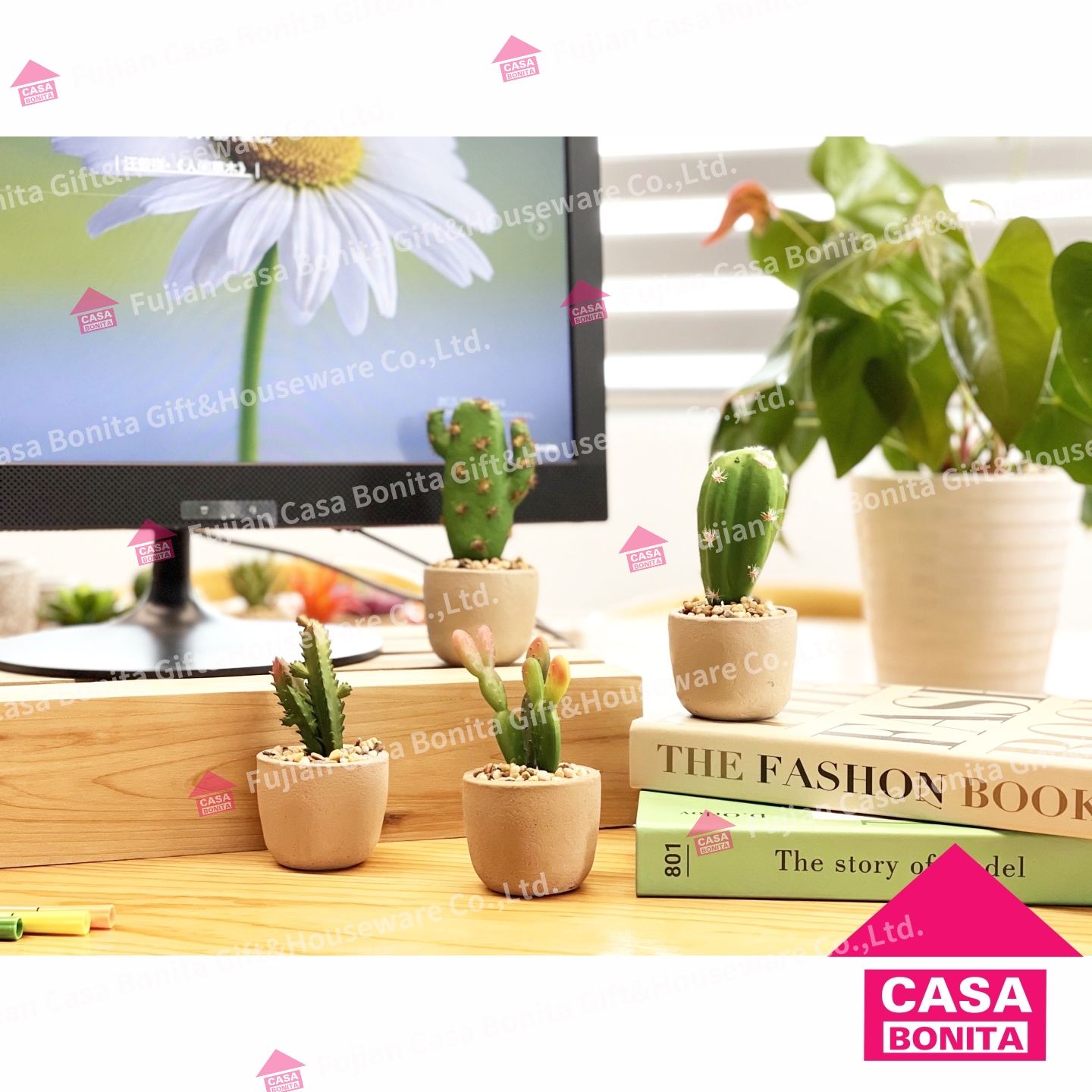 Cactus flower pot