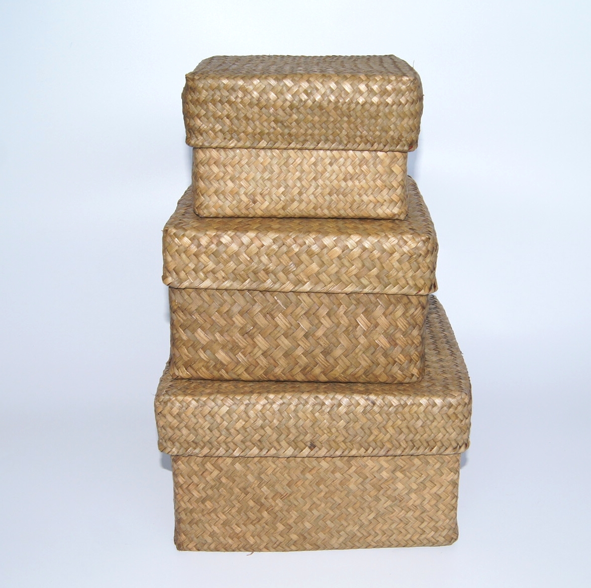 Seagrass Box