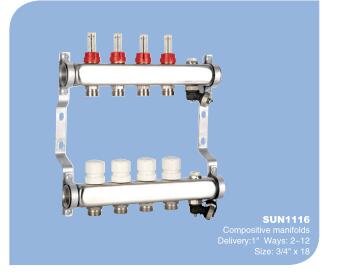 Manifolds (Brass & S.s)