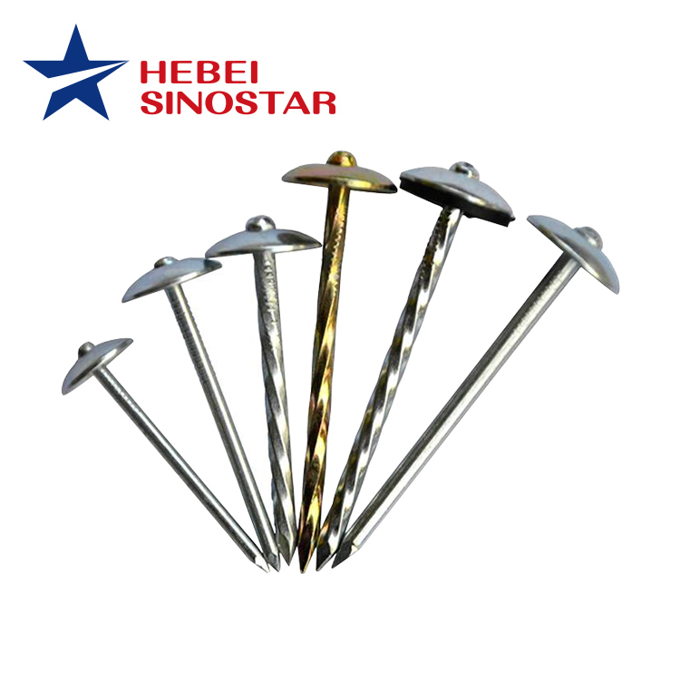 GI Roofing Nails