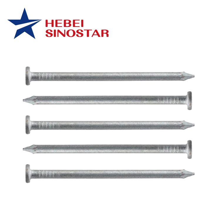 Hot Dipped Galvanized Iron Nail