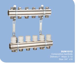Manifolds (Brass & S.s)