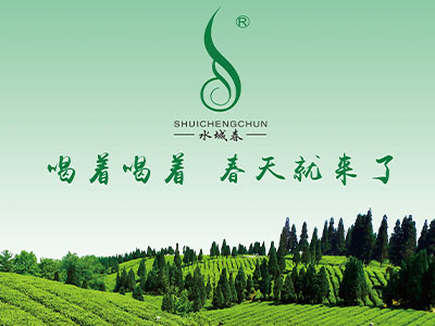 Shuicheng County Tea Development Co., Ltd. – Photos produits 3